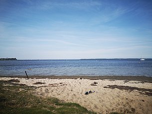 Sandstrand am Salzhaff im Sommer
