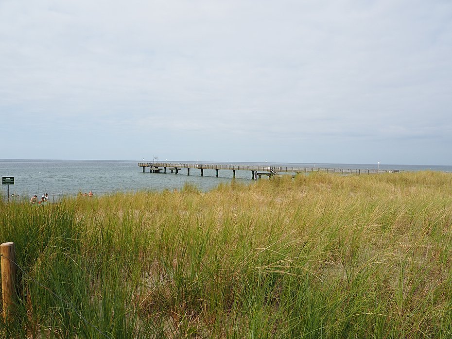 Seebrücke Rerik