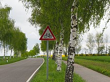 Boiensdorf Birkenallee Ostseeradweg