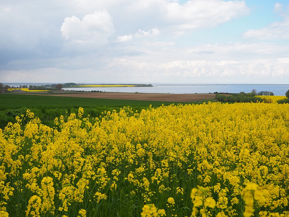 Aussichtspunkt Boiensdorf Blick übers Salzhaff Frühjahr