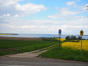 Aussichtspunkt Boiensdorf Blick übers Salzhaff Rapsfeld
